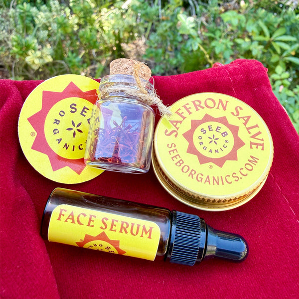 Seeb Sample Gift Bag