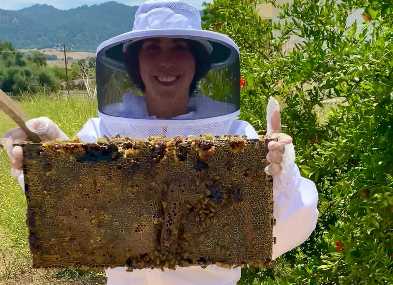 Beekeeping and the Benefits of Raw Honey for Skincare