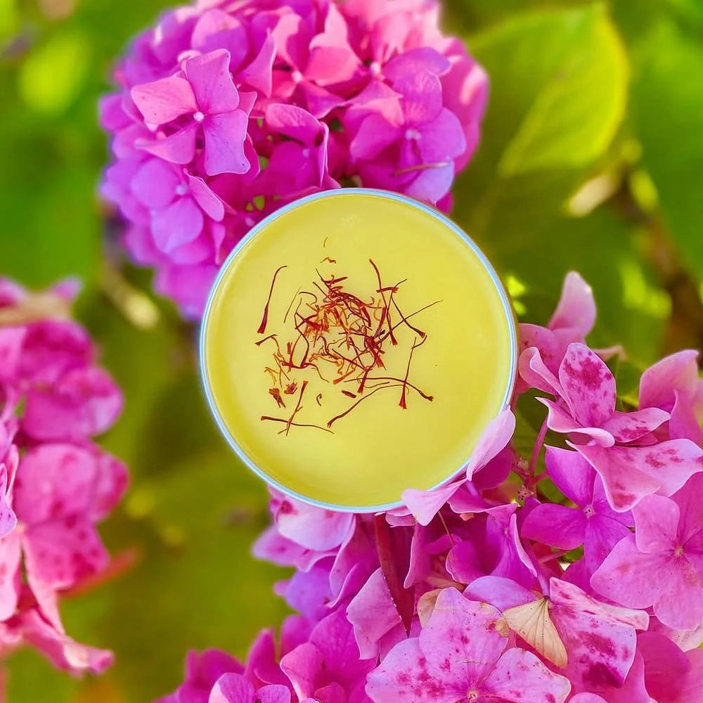 The Effects of ChapSticks, Lipsticks, Lip Gloss, and Lip Balms